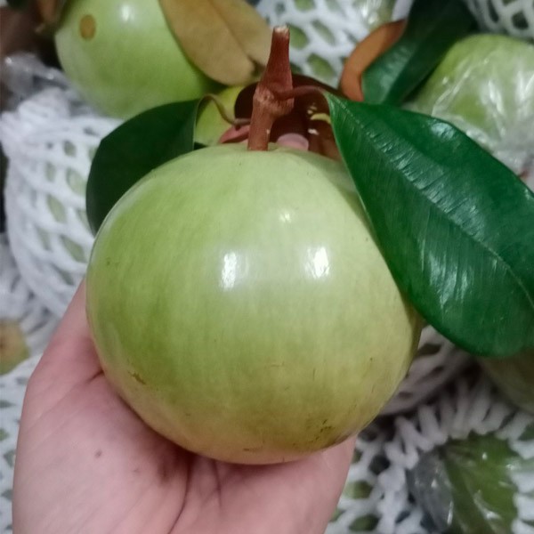 (HỘ KINH DOANH) TRẦN THANH SANG